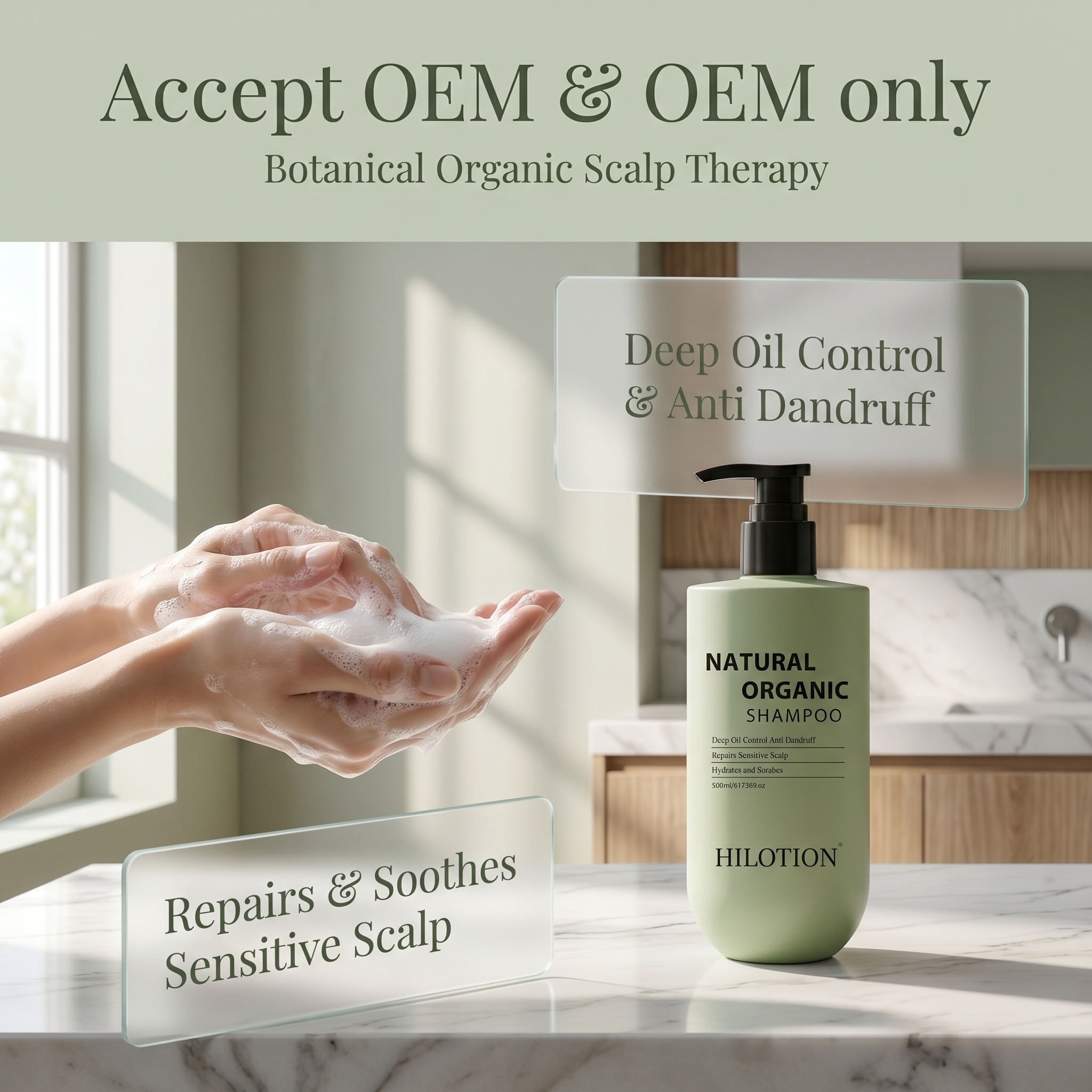 Hilotion Natural Organic Shampoo - Deep Oil Control & Anti-Dandruff for Sensitive Scalp (500ml) - Image 2
